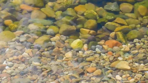 Clear water Stock Footage 134333140