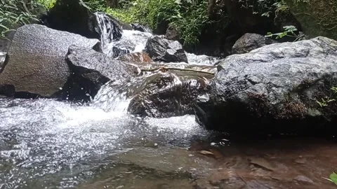 Clear water Stock Footage 217329845