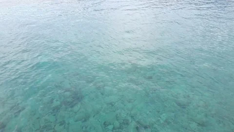 Clear water Stock Footage 229863379