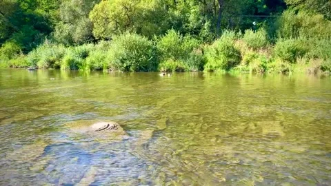 Clear water Video stock 251139082