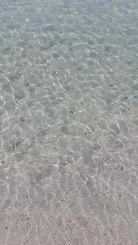 Clear water Stock Footage 255449305