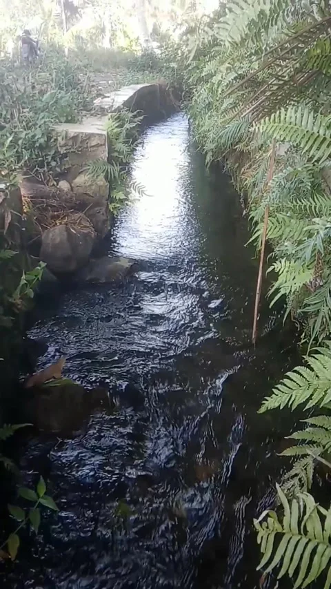 Clear water Video stock 281551826