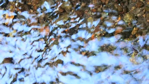 Clear water Stock Footage 300270944