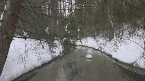 Clear water in the forest river, winter landscape, 8K Stock Footage 163112628