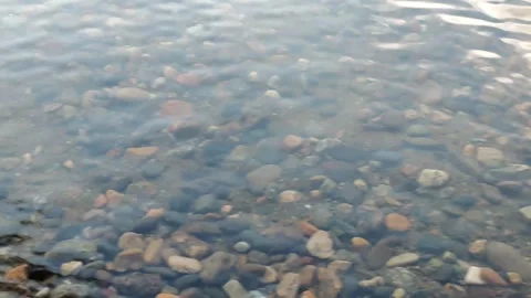Clear water gently flowing over riverbed pebbles Vidéo 310309562