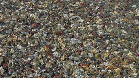 Clear Water Gently Laps Over Colorful River Rocks in Bright Sunlight Stock Footage 329503916