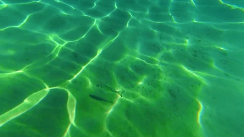 Clear water glows with rippling sunlight. Trani Ammouda, Greece Vídeos de archivo 338347998