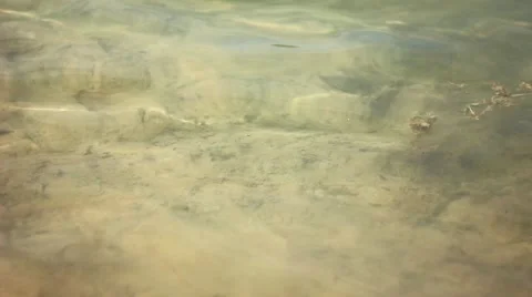 Clear water in the lake Stock Footage 66527769