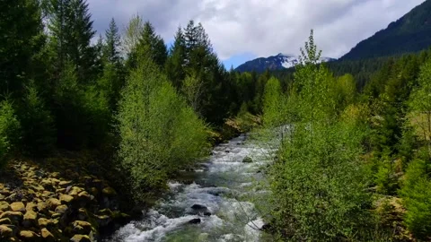 The Clear Water From the Mountain Video stock 160008372