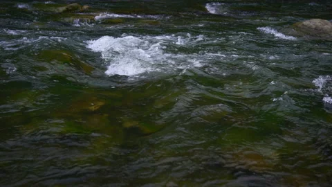 Clear water in mountain river. 4k video with sound Stock Footage 153090415
