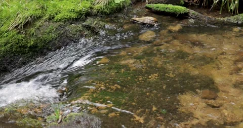 Clear water in a mountain river close-up Video stock 241316853