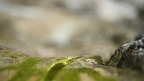 Clear water from a mountain river before falling and sunlight effects (bokeh) Video stock 212733353