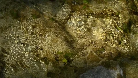 Clear water of a mountain river is flowing over rocks in sunlight (slow motion) 스톡 동영상 211764115