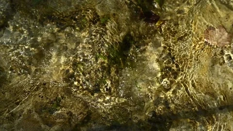 Clear water of a mountain river is flowing over rocks in sunlight (slow motion) Stock Footage 211764156