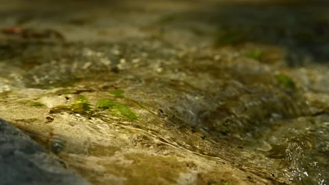 Clear water of a mountain river flows over rocks Stock-Footage 211757887