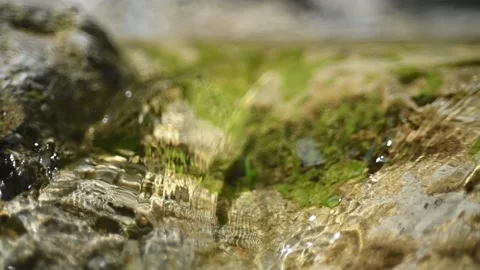 Clear water from a mountain river flows over green mossy rocks (slow motion) Stock Footage 212729848