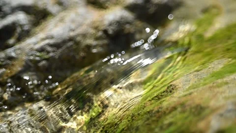 Clear water from a mountain river flows over green mossy rocks (slow motion) Stock-Footage 212729857