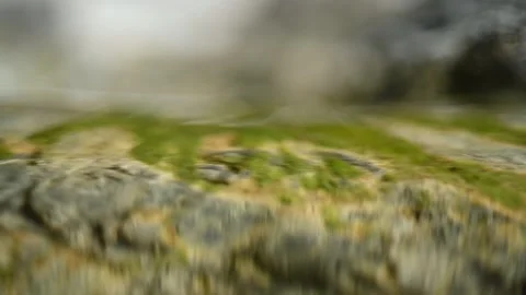 Clear water from a mountain river flows over green mossy rocks (slow motion) Stock Footage 212730991