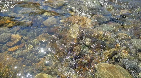 Clear water mountain river Vídeos de archivo 49840317