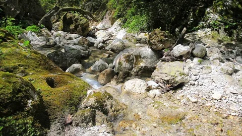 Clear water in mountain river Stock Footage 129205967