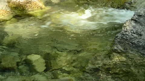 Clear water from a mountain stream flows through a small pool Stock-Footage 211470169