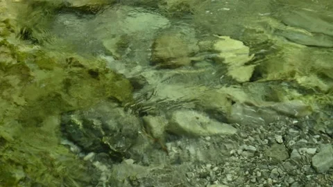 Clear water from a mountain stream flows over stones 스톡 동영상 211470387