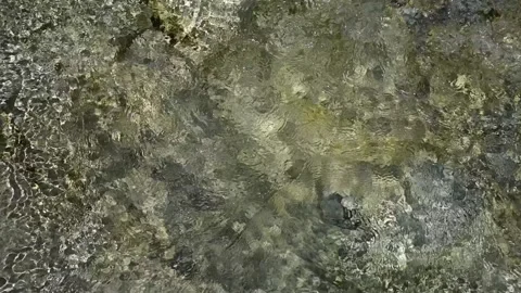 Clear water from a mountain stream flows in summer sunlight (slow motion) Video stock 219638644
