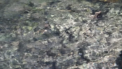 Clear water of a mountain stream. Stock Footage 164511762