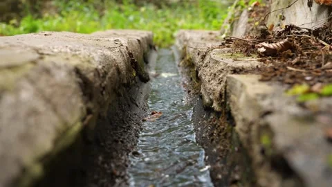 Clear water moves steadily through a drainage channel surrounded by greenery. Stock-Footage 294999869