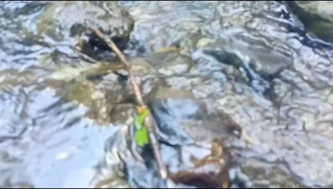 Clear water with natural rocks background 63 Stock Footage 217407315
