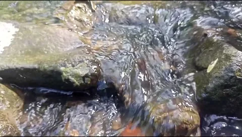 Clear water with natural rocks background 42 Stock Footage 217407723