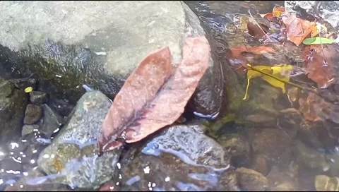 Clear water with natural rocks background 15 Stock Footage 217408593