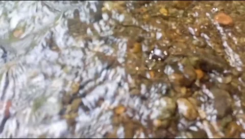 Clear water with natural rocks background 7 Stock Footage 217408853