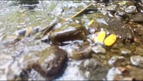 Clear water with natural rocks background 6 Stock Footage 217408945