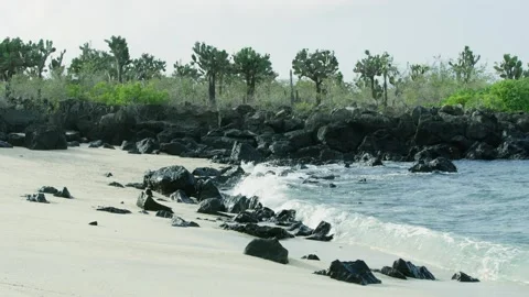 Clear water of the ocean splashes into large rocks leaving sea foam. Stock Footage 268720509