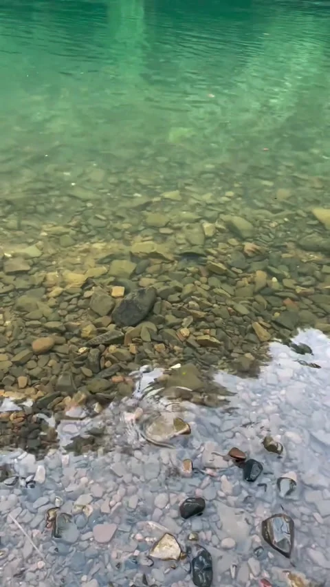 Clear Water Over Pebbles and Riverbank 库存影片 341317593