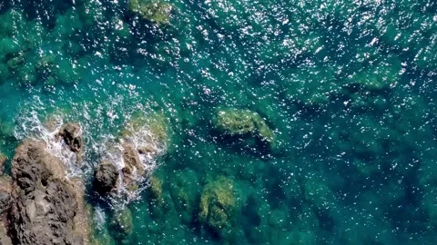 Clear Water Over Rocks in Ocean Near Coastline With Sunlight Shining in Stock Footage 322937649