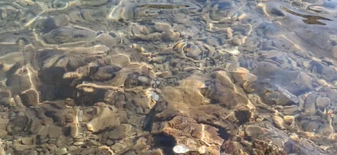 Clear Water Over Rocky Seabed Stock Footage 340746331