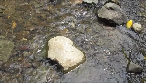 Clear water passing through small rocks 库存影片 219728953