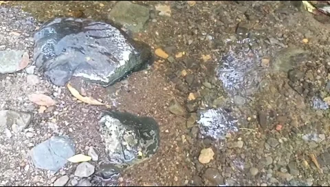 Clear water passing through small rocks Stock Footage 219755480