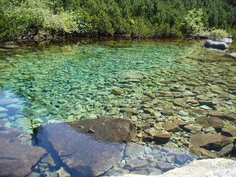 Clear water Stock Photos