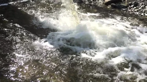 Clear water pouring, spring water nature fresh air, forest, grass, blue sky Stock Footage 142218708