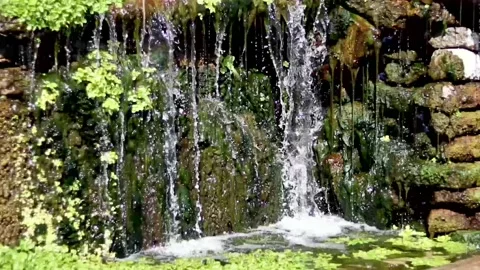 Clear water pours over the rocks, fresh bright greenery all around Stock Footage 153742977