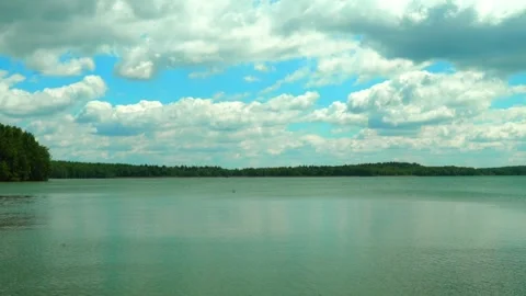 Clear water reflects clouds and trees at a lake in the daytime Stock Footage 337965716
