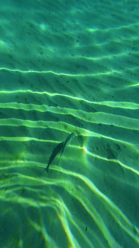 Clear water ripples above sandy bottom. Trani Ammouda, Greece. Vertical Stock Footage 339628816