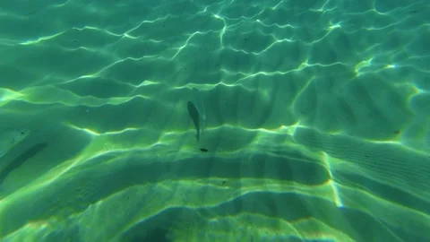Clear water ripples gently, casting light patterns below. Trani Ammouda, Greece Stock Footage 340637819