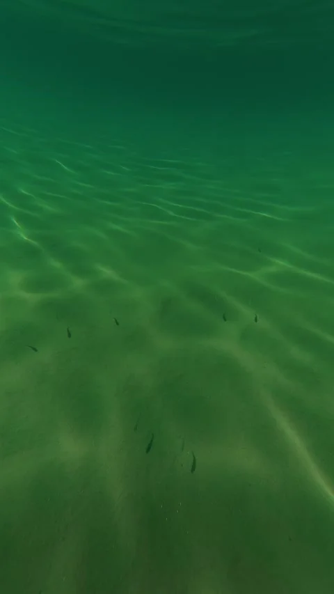 Clear water ripples gently. Trani Ammouda, Greece. Vertical Stock Footage 338358055