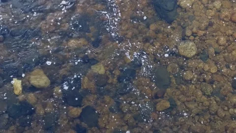 Clear water ripples slowly over brown and gray pebbles with small white bubbles Stock Footage 344322085