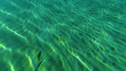 Clear water ripples with sunlit patterns. Trani Ammouda, Greece Stock Footage 339610077