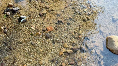 Clear Water Rippling Over Pebbles and Sand in Kenrokuen Garden Vidéo 332826480